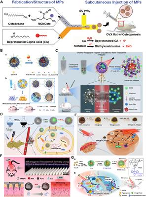 Phase-change materials-based platforms for biomedicine